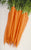 Carrot Baby Sugarsnax 54 F1