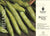 Thompson & Morgan Duchy Original Organic Vegetable Broad Bean Aquadulce Claudia 30 Seed