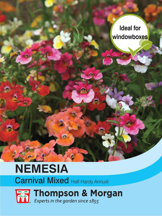 Thompson & Morgan Nemesia Carnival Mixed 500 Seed