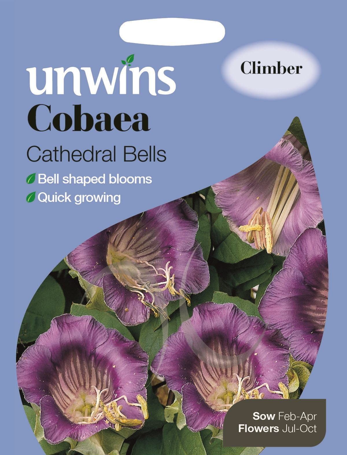 Unwins Cobaea Cathedral Bells 15 Seeds