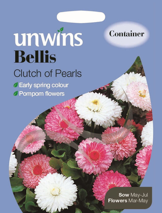 Unwins Bellis Clutch Of Pearls 150 Seeds