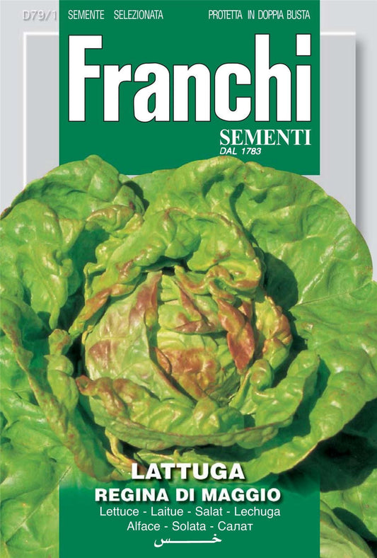 Franchi Seeds of Italy Lettuce Regina Di Maggio Seeds