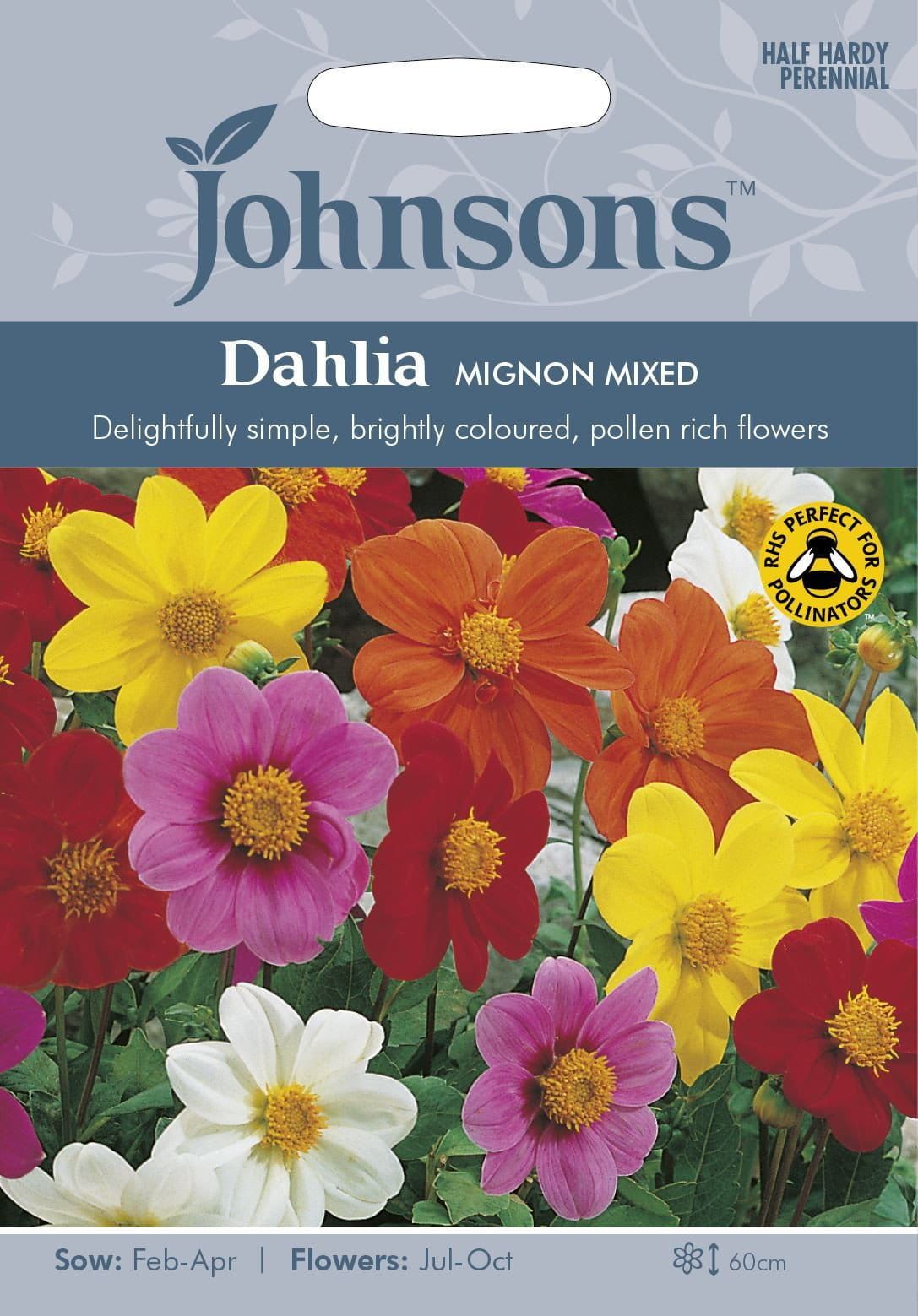 Johnsons Dahlia Mignon Mixed 40 Seeds