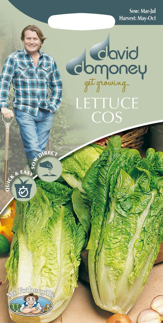 Mr Fothergills - David Domoney - Vegetable - Lettuce Cos - Tantan - 200 Seeds