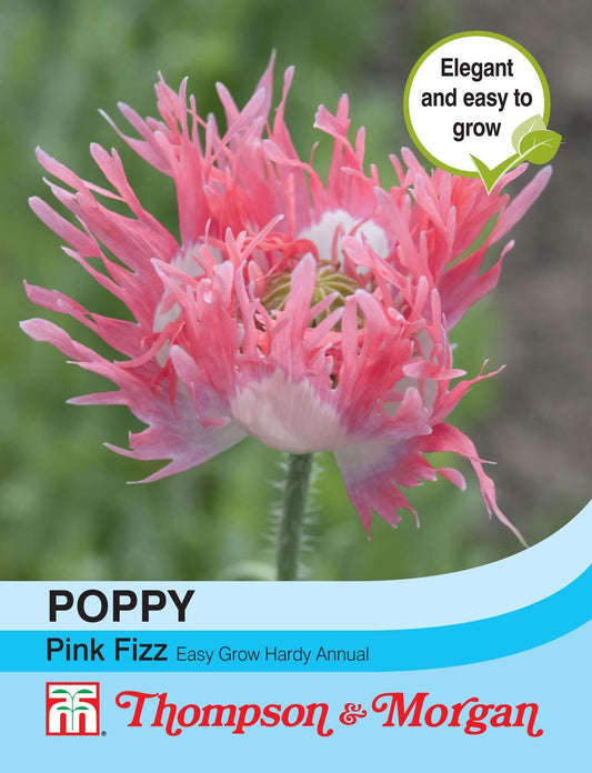 Thompson & Morgan Poppy Pink Fizz 400 Seed