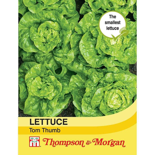 Thompson & Morgan Lettuce Tom Thumb 1000 Seed