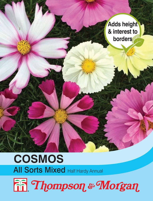 Thompson & Morgan Cosmos All Sorts Mixed 100 Seed