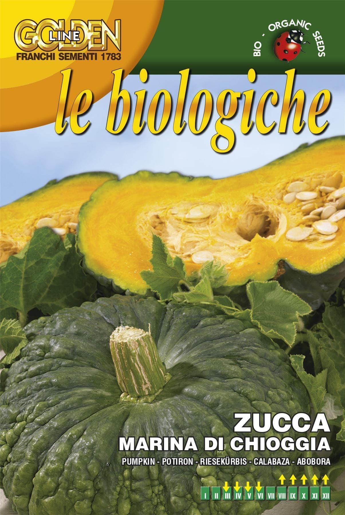 Franchi Organic BIOB145/2 Pumpkin Marina Di Chioggia 20 Seeds