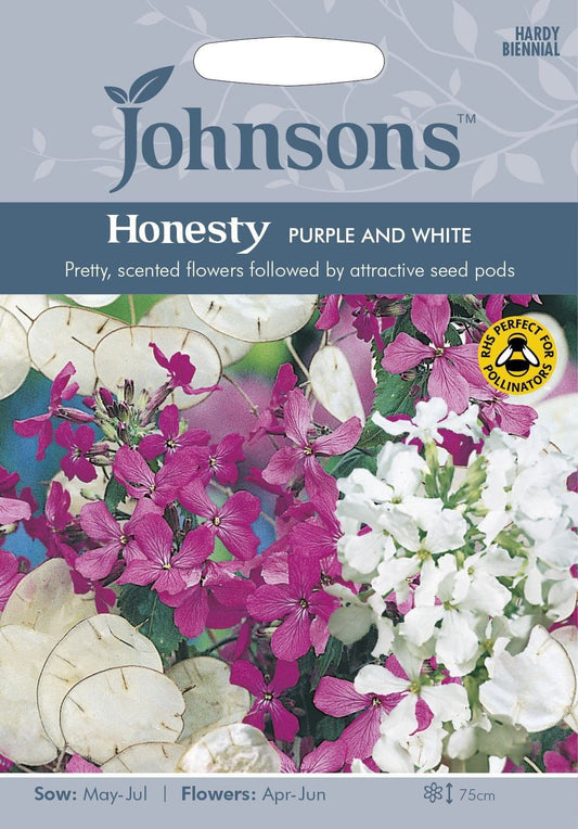 Johnsons Honesty Purple and White 50 Seeds