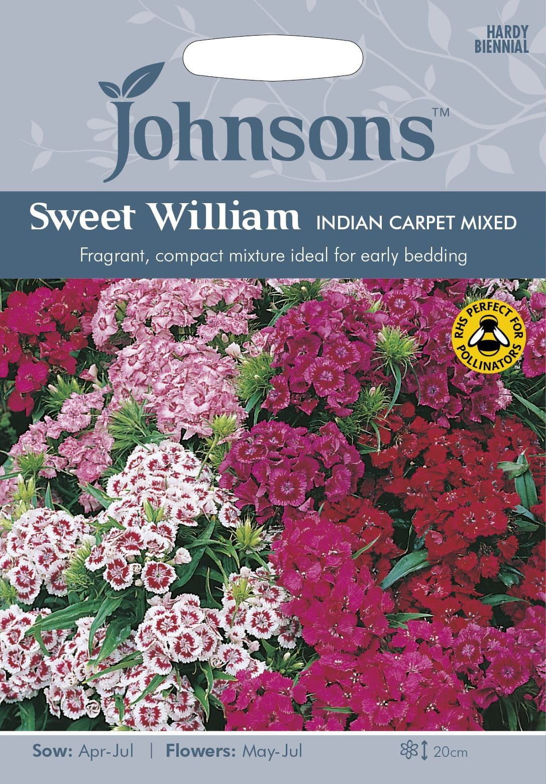 Johnsons Sweet William Indian Carpet Mixed 400 Seeds