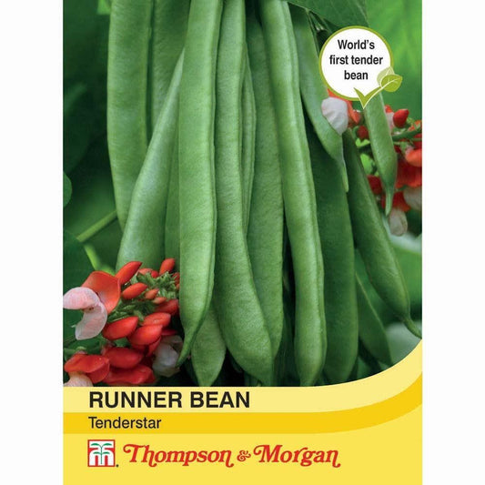 Thompson & Morgan Runner Bean Tenderstar 30 Seed