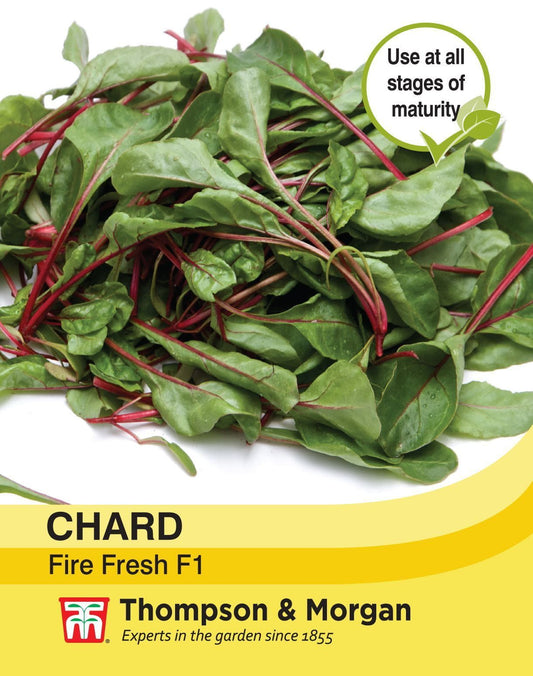 Thompson & Morgan - Vegetable - Chard - Fire Fresh - 200 Seeds