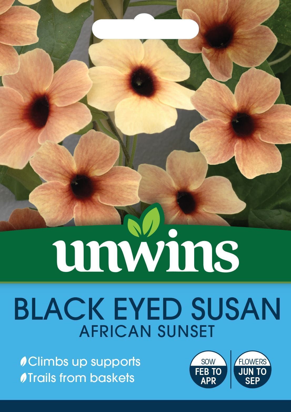 Unwins Black Eyed Susan African Sunset Seeds