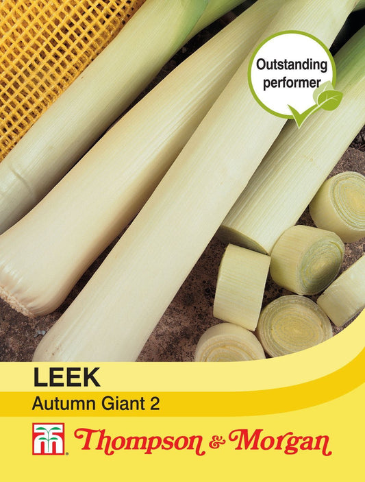 Thompson & Morgan Leek Autumn Giant 2 150 Seed