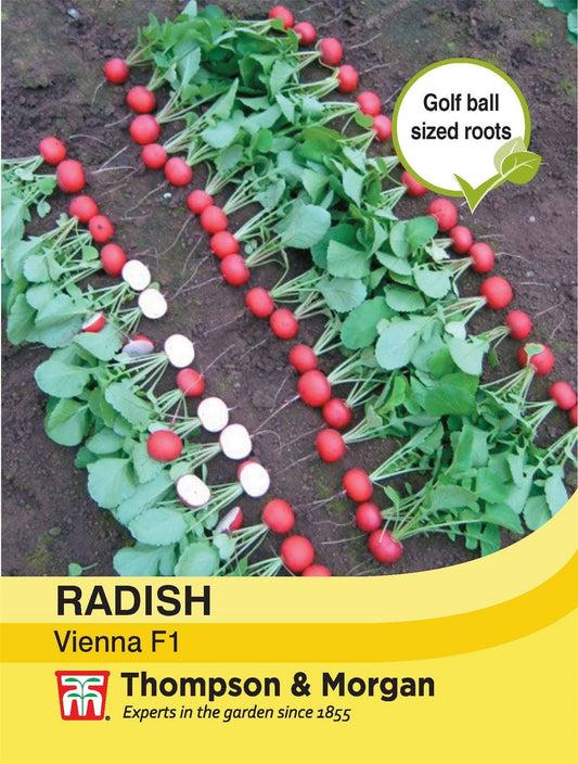 Thompson & Morgan Radish Vienna F1 Hybrid 300 Seed