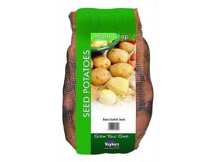 Taylors Seed Potatoes King Edward 2kg Tubers Main Crop