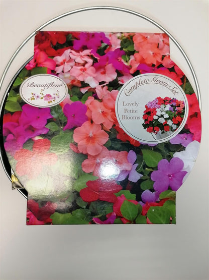 Beautifleur - Busy Lizzie - Metal Planter Seeds