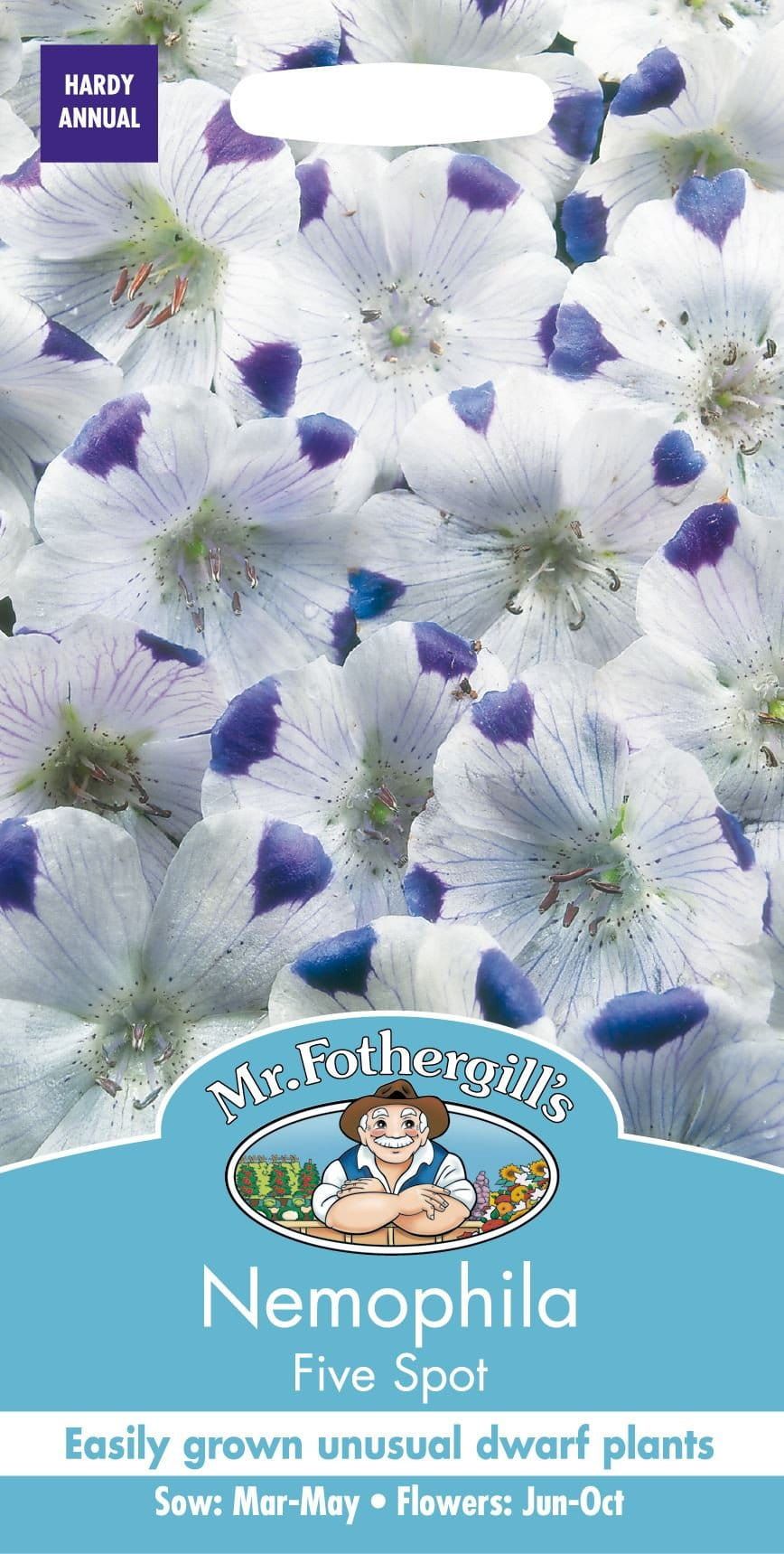 Mr Fothergills Nemophila Five Spot 300 Seeds