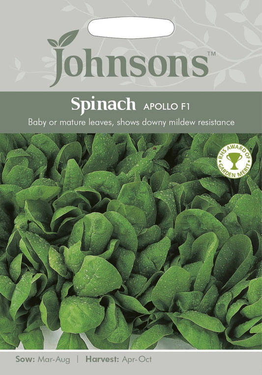 Johnsons Spinach Apollo F1 300 Seeds