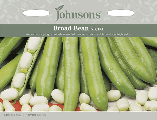 Johnsons Broad Bean Vectra 45 Seeds