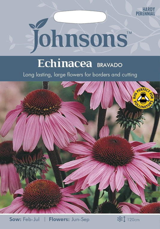 Johnsons Echinacea Bravado 50 Seeds