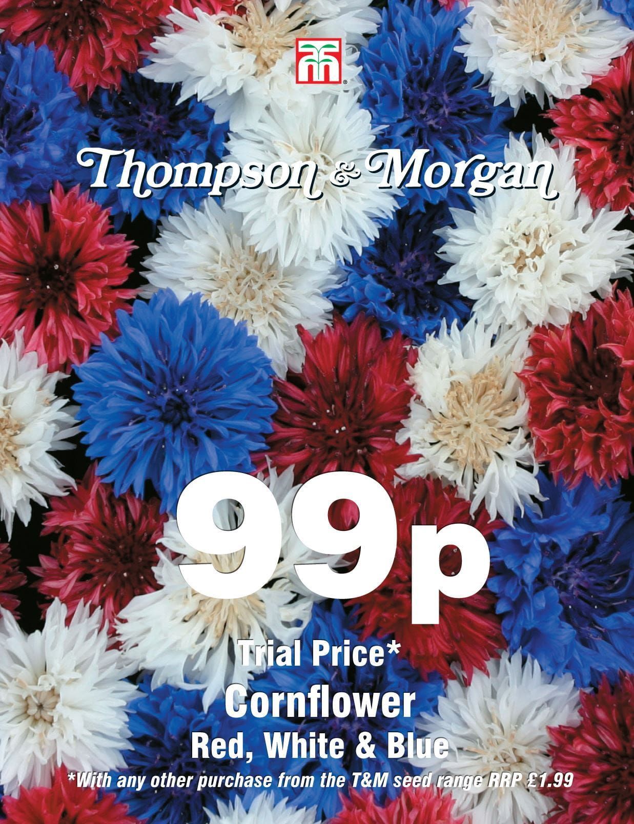 Thompson & Morgan - 99p Flower - Cornflower - Red, White & Blue - 125 Seeds