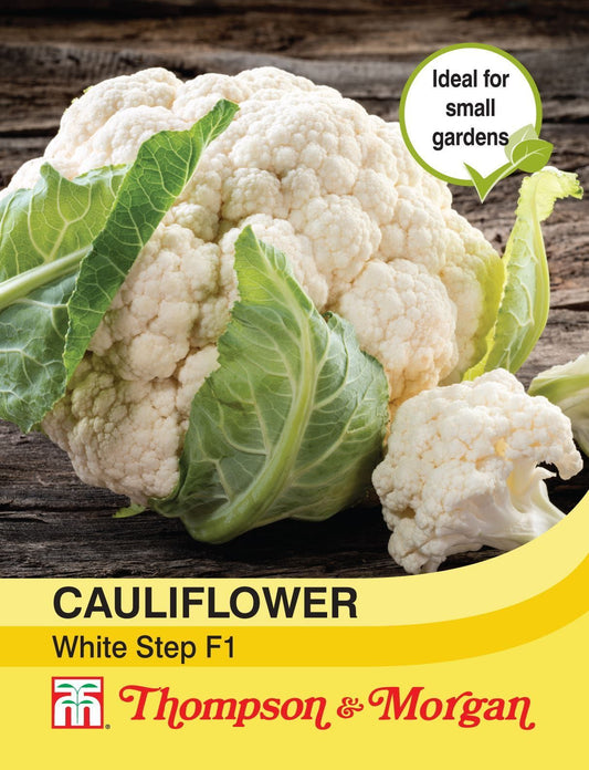 Thompson & Morgan Cauliflower White Step Seed