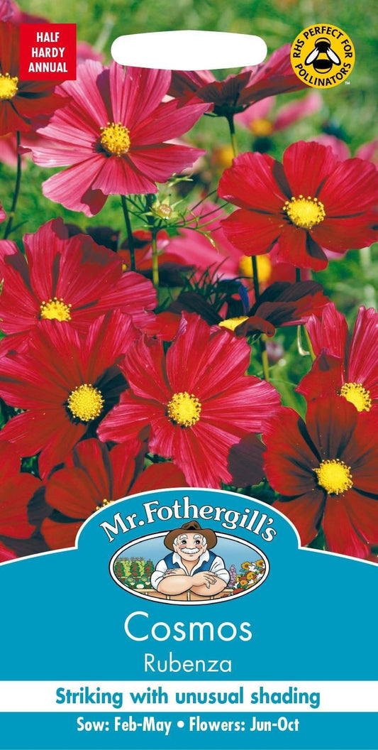 Mr Fothergills Cosmos Rubenza 30 Seeds