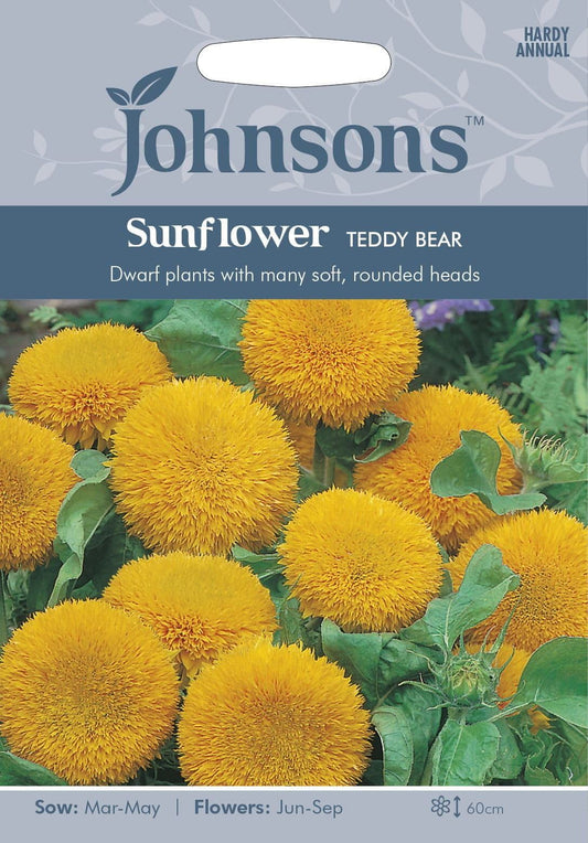 Johnsons Sunflower Teddy Bear 40 Seeds