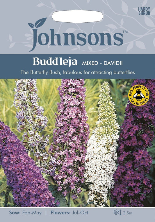 Johnsons Buddleja Mixed 150 Seeds
