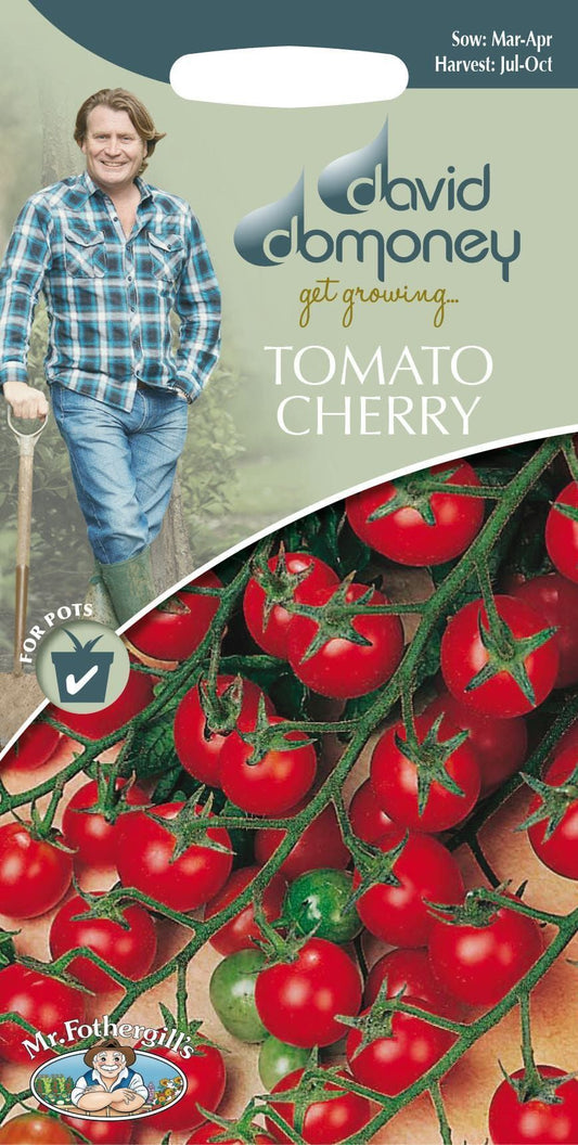 Mr Fothergills David Domoney Tomato Cherry Gardener's Delight 20 Seeds