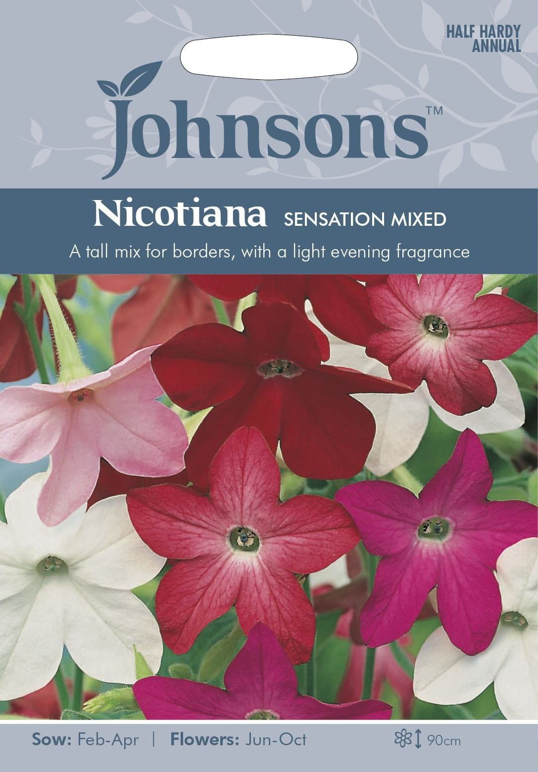 Johnsons Nicotiana Sensation Mixed 2000 Seeds