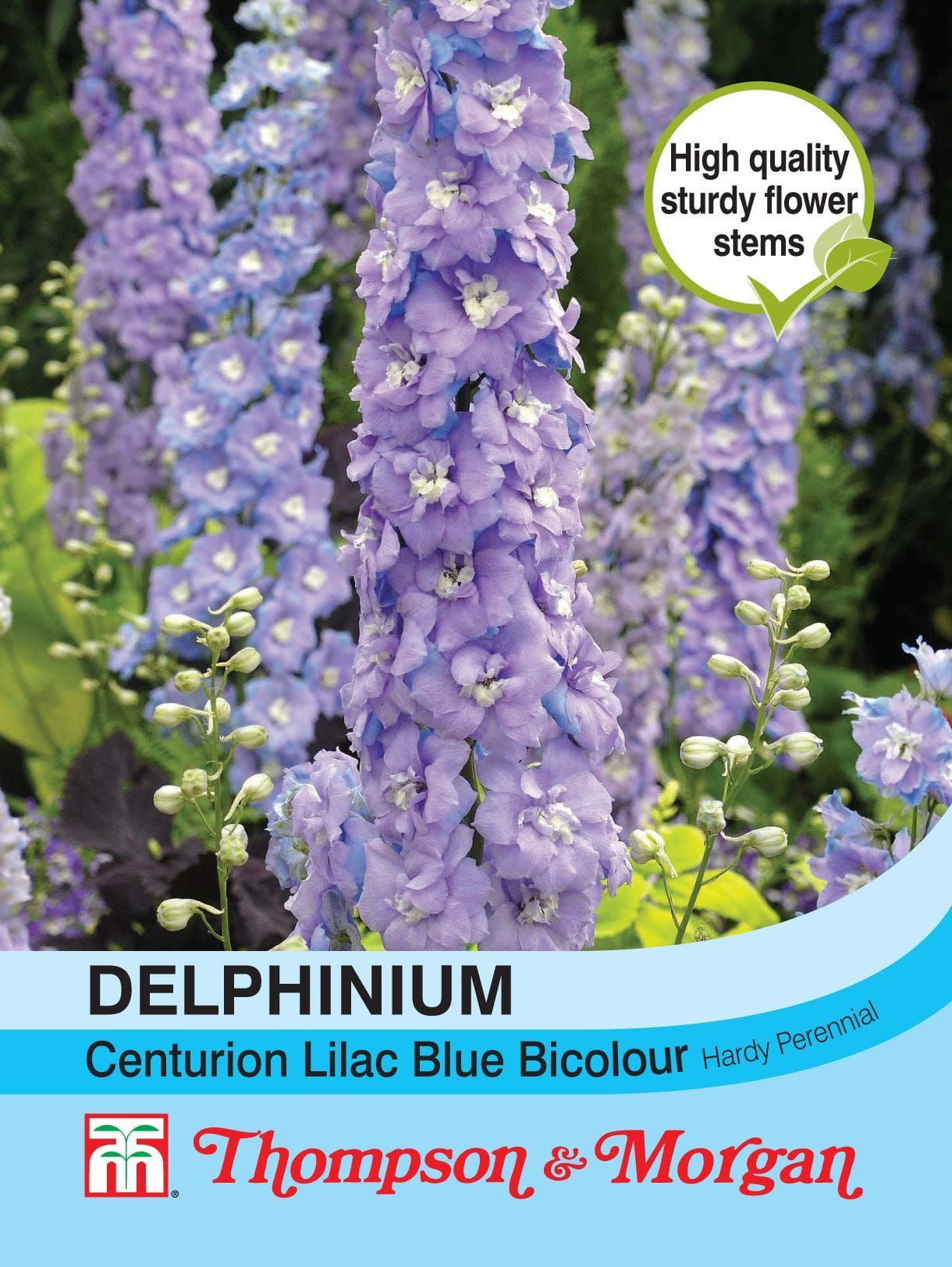 Thompson & Morgan Delphinium Centurion Lilac Blue Bicolour Hybrid 12 Seed
