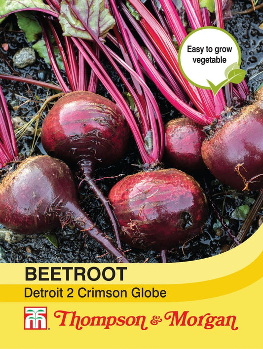 Thompson & Morgan Beetroot Detroit 2 Crimson Globe 250 Seed