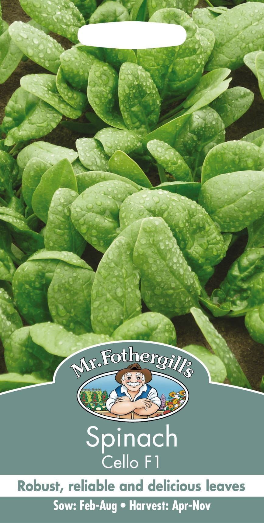 Mr Fothergills Spinach Cello F1 300 Seeds