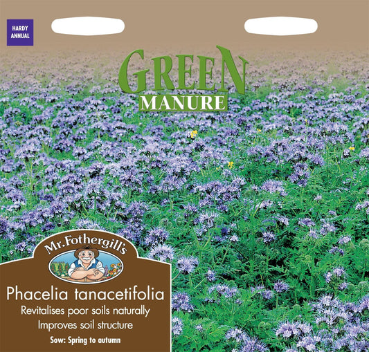 Mr Fothergills Green Manure Phacelia Tanacetifolia 39g Seeds