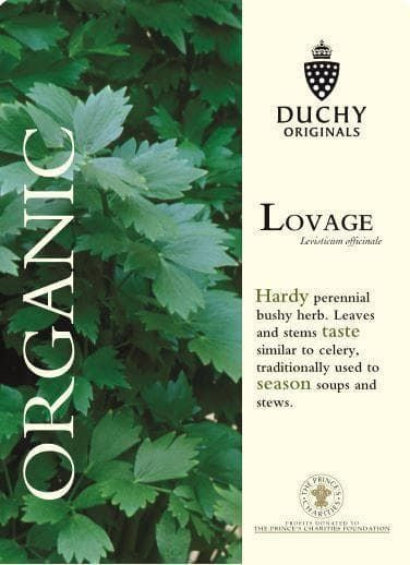 Thompson & Morgan Duchy Original Organic Herb Lovage 75 Seed