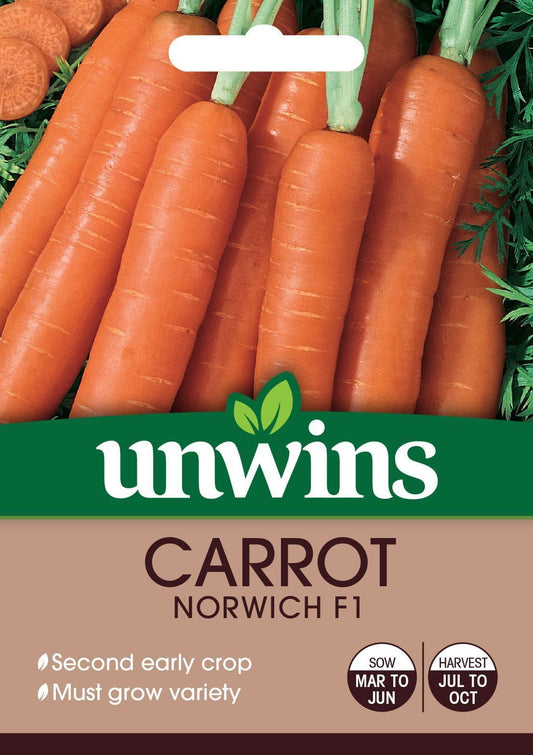 Unwins Carrot Norwich F1 300 Seeds