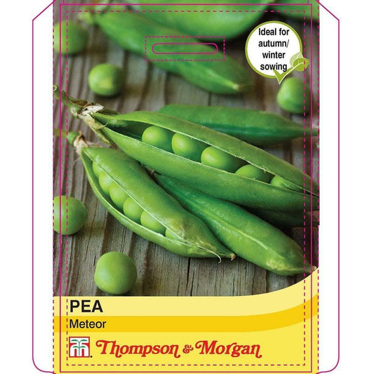 Thompson & Morgan Pea Meteor 250 Seed