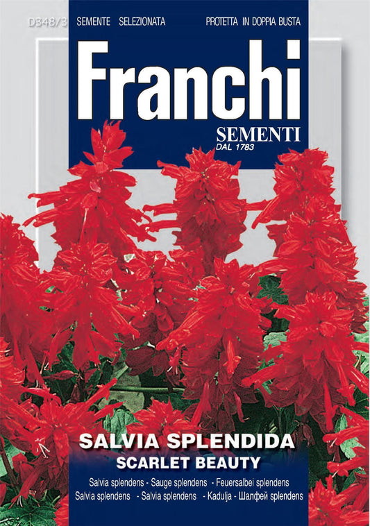 Franchi Seeds of Italy - Flower - FDBF_ 348-3 - Sage - Splendens Alta - Seeds