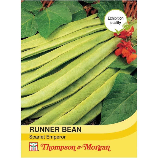 Thompson & Morgan Runner Bean Scarlet Emperor 40 Seed