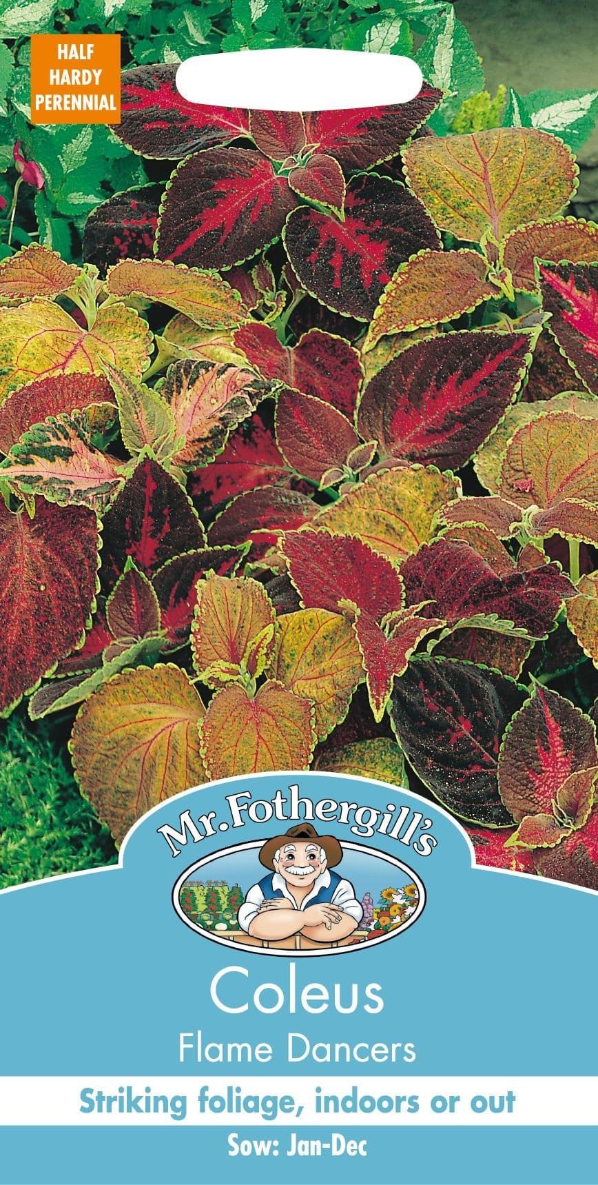 Mr Fothergills Coleus Flame Dancers 100 Seeds