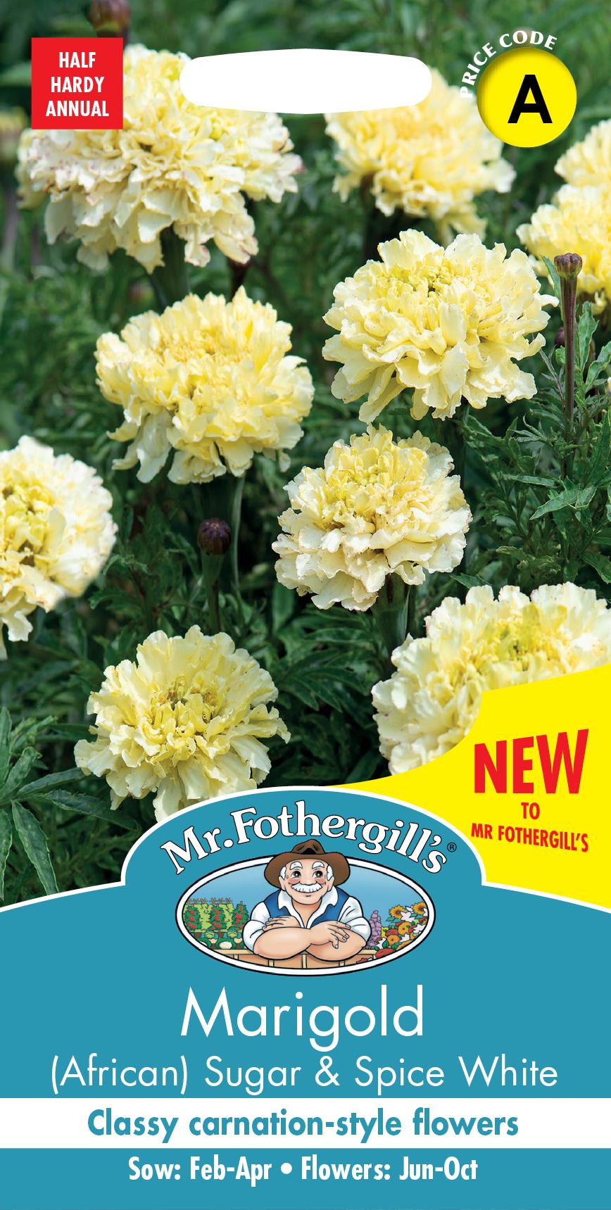 Mr Fothergills - Flower - Marigold (African) - Sugar And Spice White - 75 Seeds