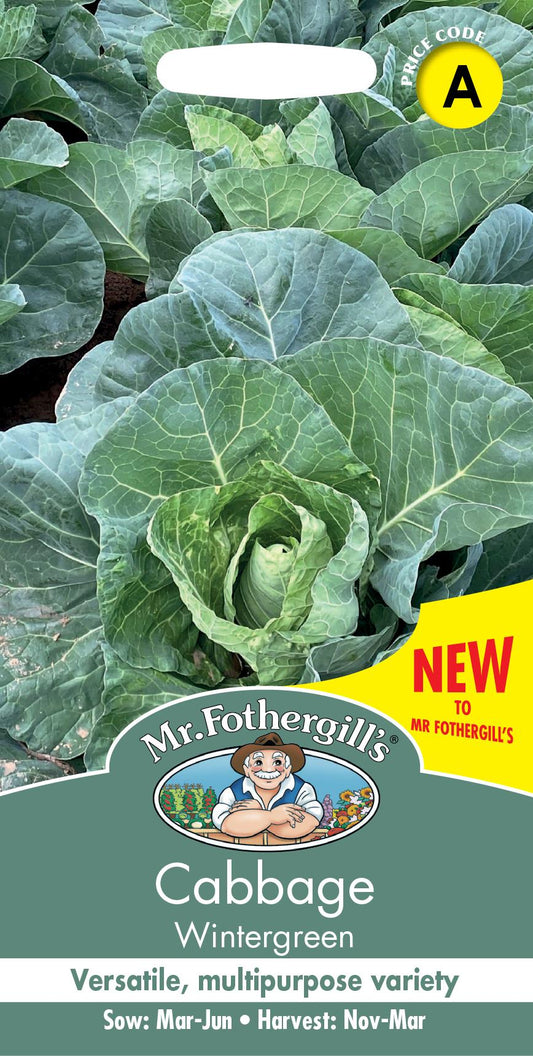 Mr Fothergills - Vegetable - Cabbage - Wintergreen -  Seeds