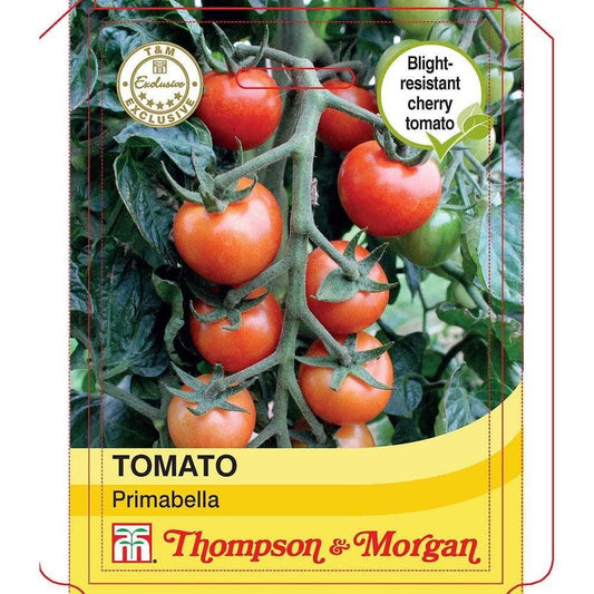 Thompson & Morgan - Tomato Primabella - 5 Seeds