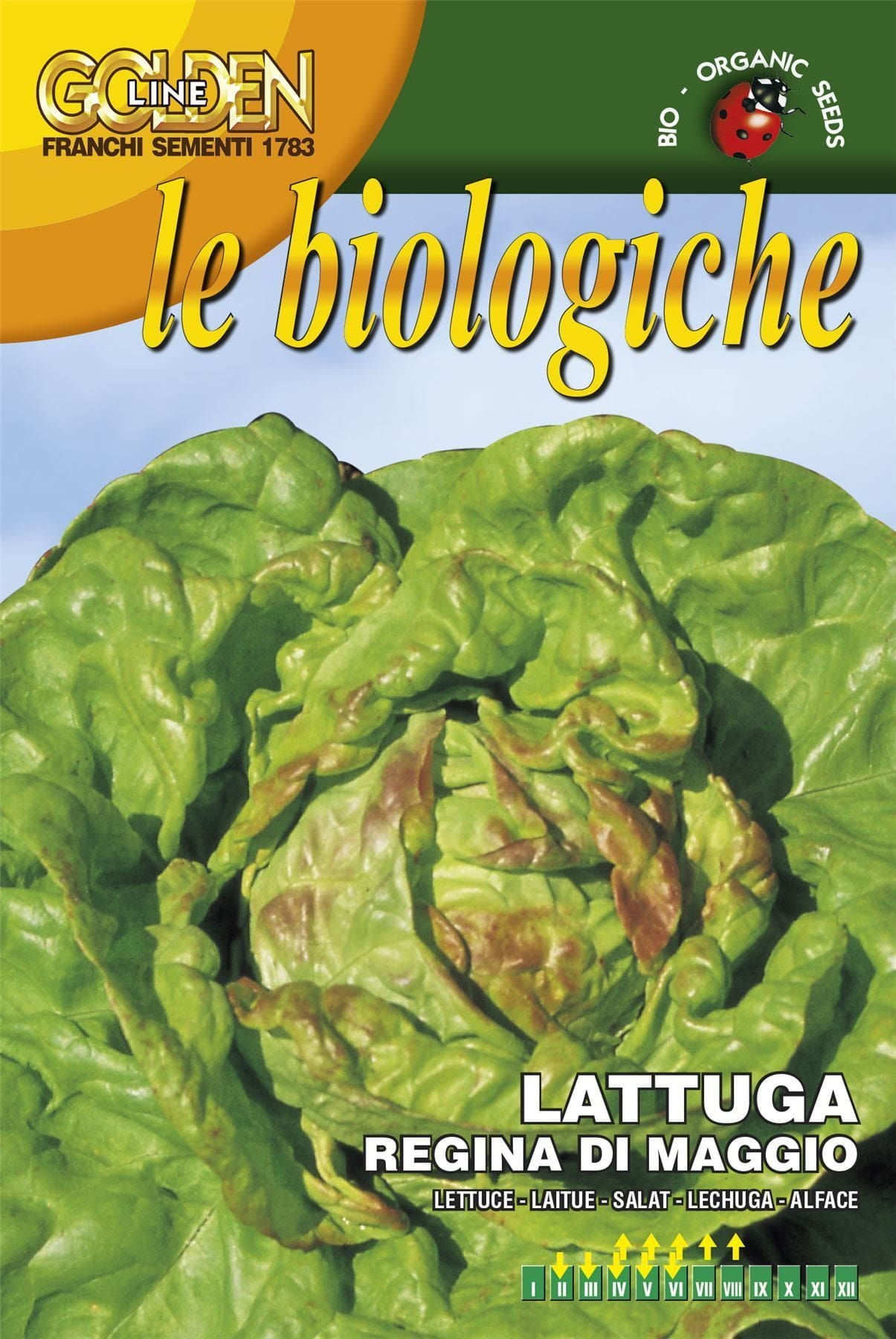 Franchi Organic BIOB79/1 Lettuce Regina Di Maggio 3000 Seeds