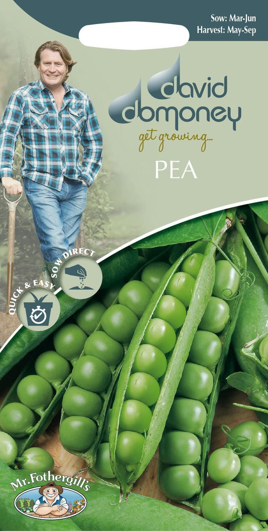 Mr Fothergills - David Domoney - Vegetable - Pea - Ambassador - 60 Seed