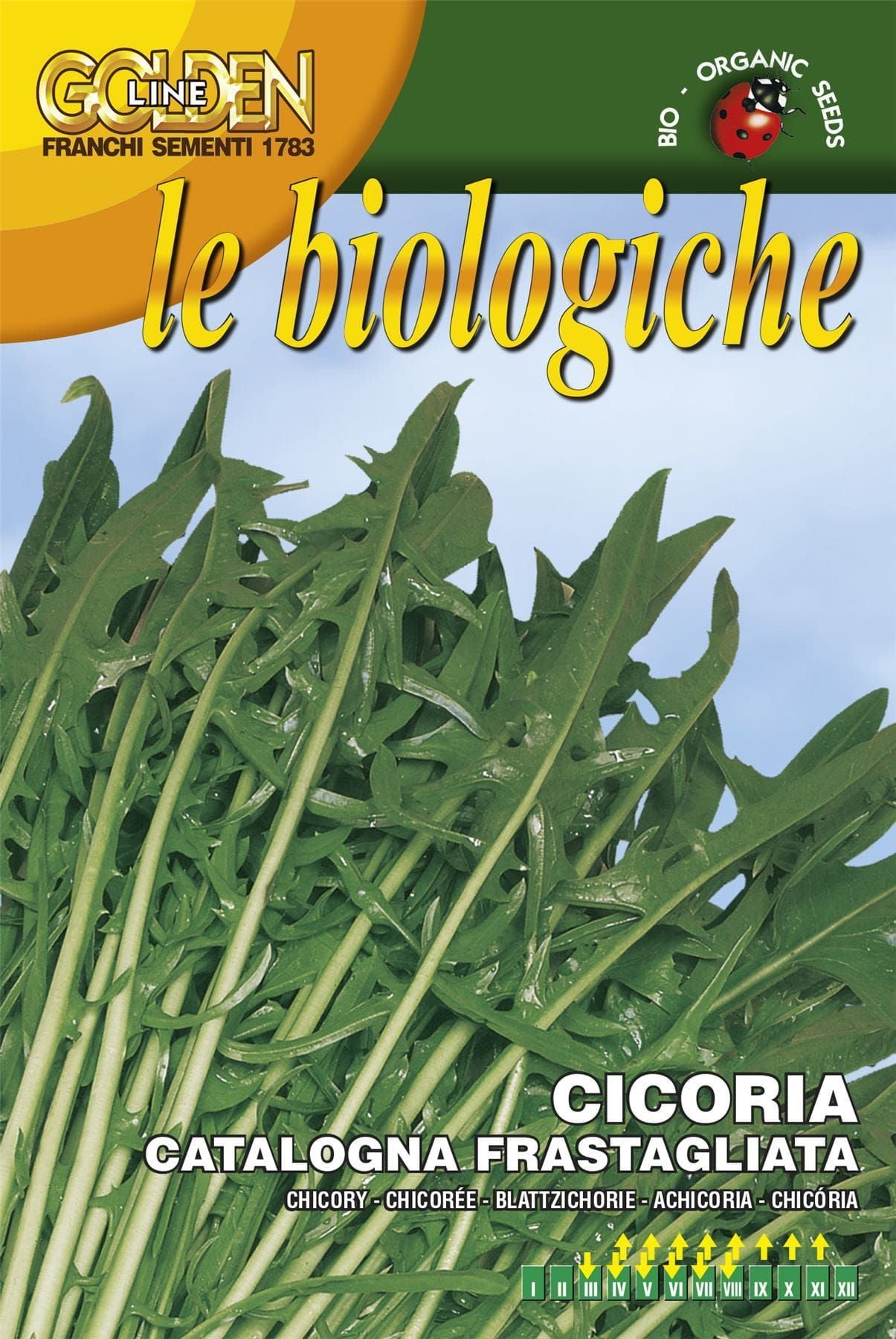 Franchi Organic BIOB40/81 Chicory Frastagliata Catalongna Seeds