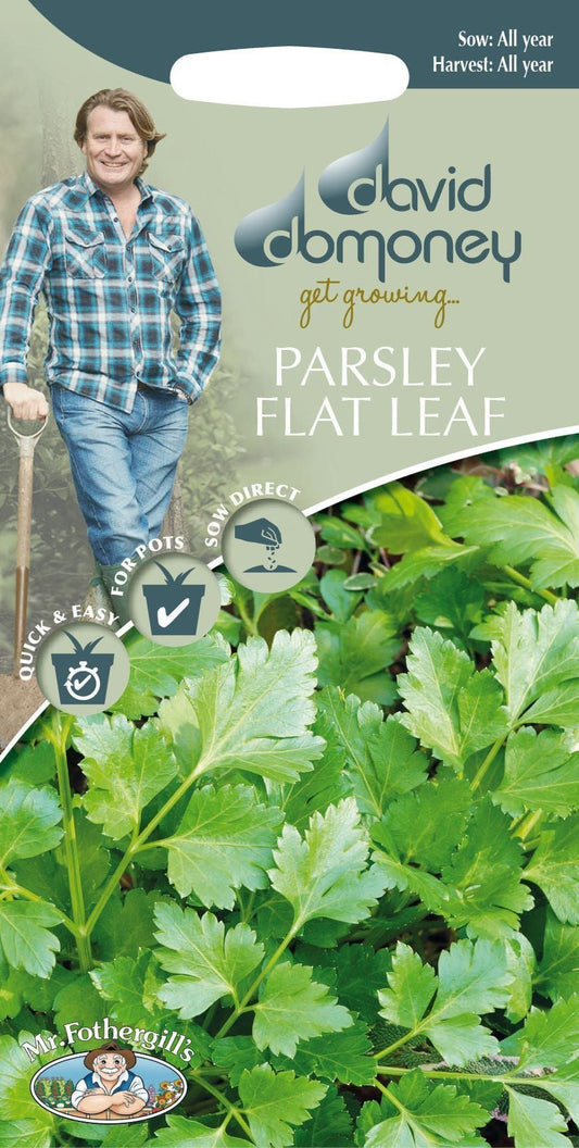 Mr Fothergills - Herb - David Domoney Parsley Flat Leaf - 1000 Seeds