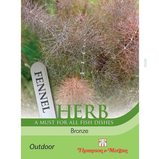 Thompson & Morgan Fennel Bronze 100 Seed
